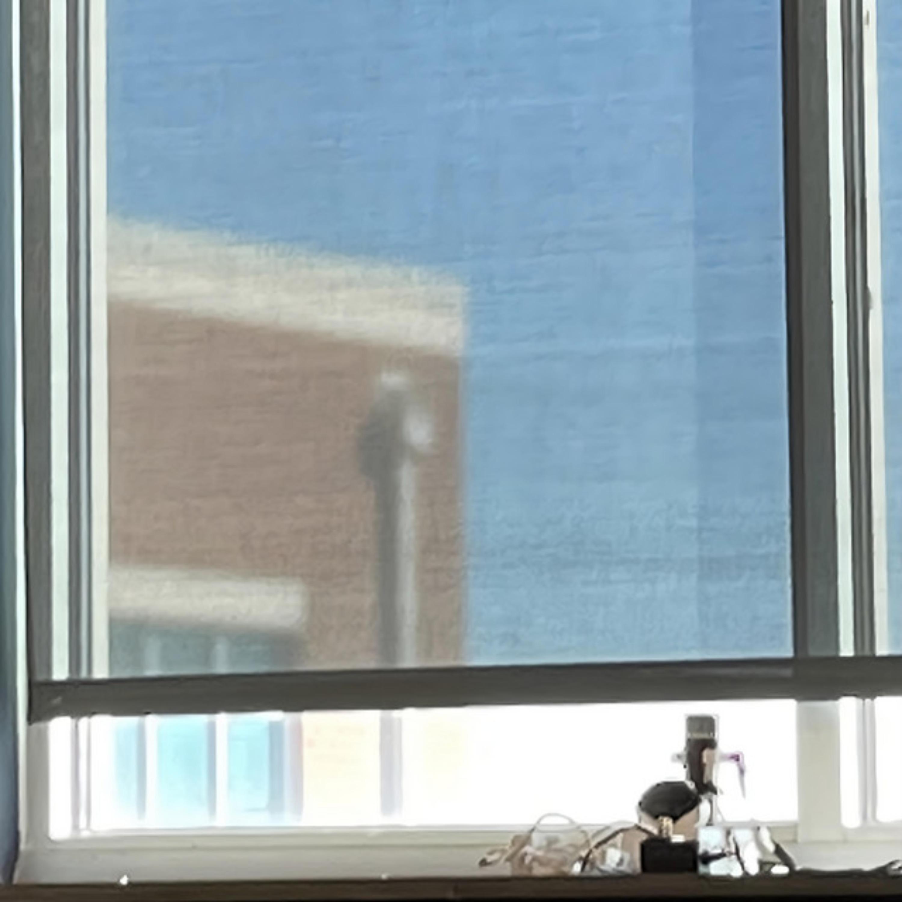 rent free (feat. Kaelo) cover